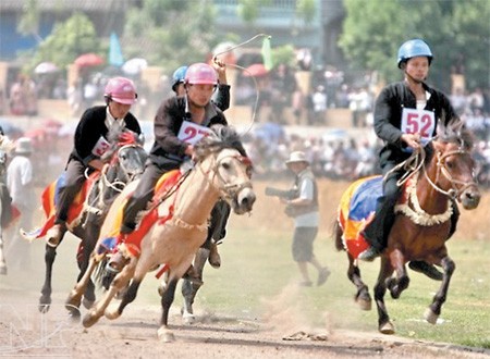 សម្រស់ស្អាតនៃនិទាឃរដូវនៅទូទាំងប្រទេសឬទិវា មហាសាមគ្គីភាពជាតិ - ảnh 5